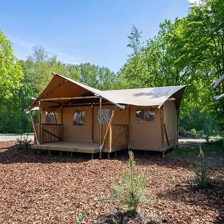 Tent Near Amsterdam *